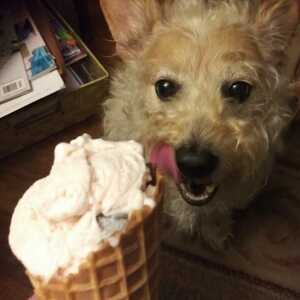 Fundraising Page: Kate McGinty